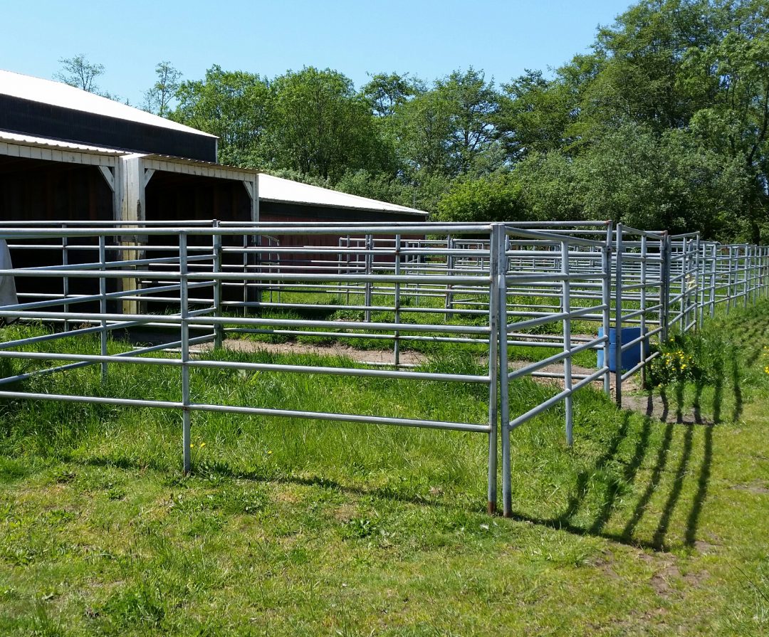 Boarding | Red Barn Arena