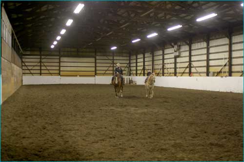 Our indoor arena is 60 x 180 (2855 square feet) and fully enclosed. It has excellent lighting and footing.