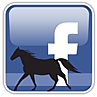 fbhorse