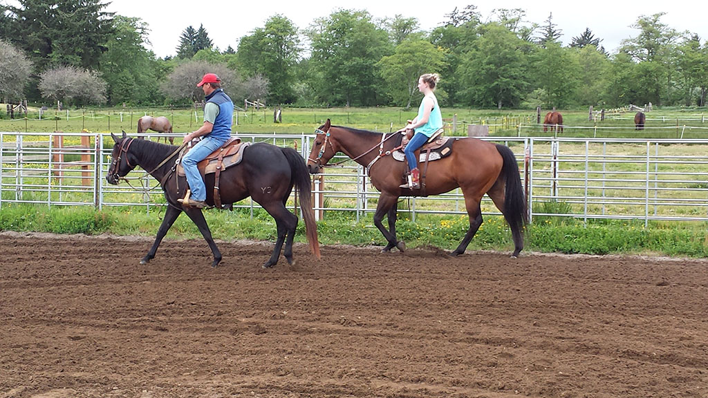 Open arena riding for haul-ins at $5.00 per horse and during designated hours